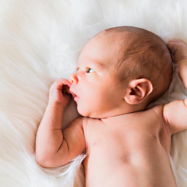 Prenatal skin development