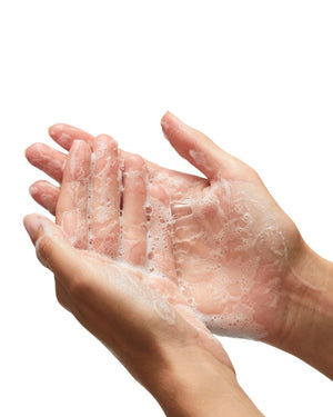 Rose & Tasmanian Lavender Hand and Body Wash 500ml