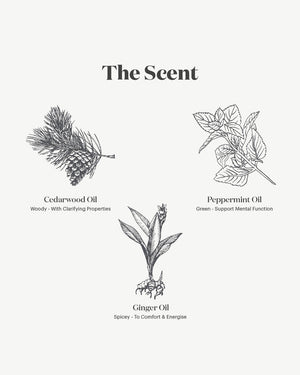 Native Mint & Cedarwood Hand and Body Wash 500ml